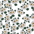 Rosehip flower seamless pattern, vector illustration on a floral theme