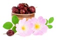 Rosehip flowers with leaf and rosehip berries in a wooden bowl isolated on white background