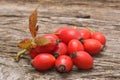 Rosehip fruit