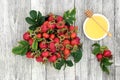 Rosehip and Honey Cold Remedy Royalty Free Stock Photo