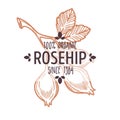 Rosehip isolated icon with lettering organic farm food Royalty Free Stock Photo