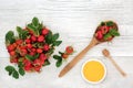 Rosehip Cold and Flu Remedy Royalty Free Stock Photo