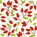 Rosehip seamless background Royalty Free Stock Photo