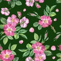 Rosehip seamless pattern on a dark green background, watercolor illustrations Royalty Free Stock Photo