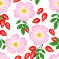 Rosehip seamless pattern. Pink flower, red berries and green leaves isolated on white background. Vector illustration of dog rose Royalty Free Stock Photo