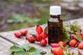 Rosehip seed essential oil in a bottle near ripe red rosehip berries. Tincture or essential oil with rose hips
