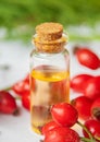 Rosehip seed essential oil in a small bottle. Selective focus