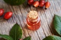 Rosehip seed oil in a glass bottle on a table Royalty Free Stock Photo