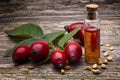 Rosehip seed oil Rosa canina; with berries on wooden table. essential oil