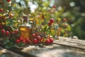 Rosehip Seed Oil in small glass bottle, rose hip bush with red fruits on wooden table with blurred Summer garden Royalty Free Stock Photo