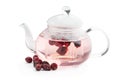 Rosehip tea in a transparent teapot isolated on white background Royalty Free Stock Photo