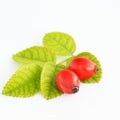 Rosehips isolated on white Royalty Free Stock Photo