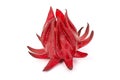 Red Roselle fruit Jamaica sorrel, Rozelle or hibiscus sabdariffa isolated on white