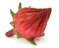 Roselle fruit