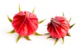 Roselle fruit isolated