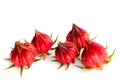 Roselle fruit isolated Royalty Free Stock Photo