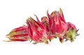 Roselle fruits or Hibiscus sabdariffa isolated on white background Royalty Free Stock Photo