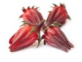 Roselle fruits with selective focus