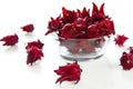 Roselle [Hibiscus sabdariffa] Royalty Free Stock Photo