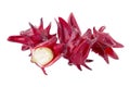 Roselle Hibiscus sabdariffa red fruit flower on white background Royalty Free Stock Photo