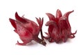 Roselle, Hibiscus sabdariffa red fruit flower Royalty Free Stock Photo