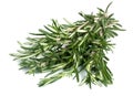 Rosemary Royalty Free Stock Photo