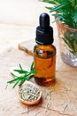 Rosemary aromatherapy oil extract