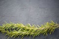 Rosemary as frame, slate board, Royalty Free Stock Photo
