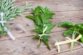 Rosemary, basil and pepermint plants Royalty Free Stock Photo
