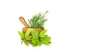 Rosemary and Bay Leaf Herbs Royalty Free Stock Photo