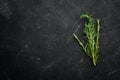 Rosemary on a black stone background. Royalty Free Stock Photo