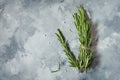 Rosemary bound on a concrete background. Top