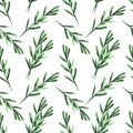 Rosemary branches seamless watercolor pattern. Provence herbs. Green leaf leaves, twig, branch, herb stick. Isolated. Botanical.