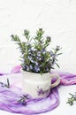 Rosemary branches in a vase on white background