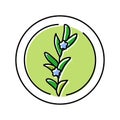 rosemary cosmetic plant color icon vector illustration
