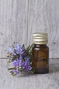 Rosemary essential oil. Royalty Free Stock Photo