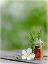 Rosemary essential oil aromatherapy bottle on wood table Royalty Free Stock Photo