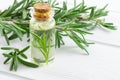 Rosemary essential oil and fresh rosemary branches Royalty Free Stock Photo