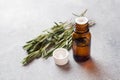 Rosemary essential oil in a glass bottle with fresh branch rosemary herb on grey table for spa,aromatherapy and bodycare.Copy Royalty Free Stock Photo