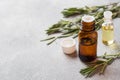 Rosemary essential oil in a glass bottle with fresh branch rosemary herb on grey table for spa,aromatherapy and bodycare.Copy Royalty Free Stock Photo