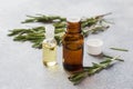 Rosemary essential oil in a glass bottle with fresh branch rosemary herb on grey table for spa,aromatherapy and bodycare.Copy Royalty Free Stock Photo