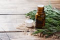 Rosemary essential oil in a glass bottle with fresh branch rosemary herb on wooden table for spa,aromatherapy and bodycare.Copy Royalty Free Stock Photo