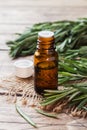 Rosemary essential oil in a glass bottle with fresh branch rosemary herb on wooden table for spa,aromatherapy and bodycare.Copy Royalty Free Stock Photo