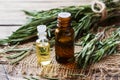 Rosemary essential oil in a glass bottle with fresh branch rosemary herb on wooden table for spa,aromatherapy and bodycare.Copy Royalty Free Stock Photo