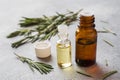 Rosemary essential oil in a glass bottle with fresh branch rosemary herb on grey table for spa,aromatherapy and bodycare.Copy Royalty Free Stock Photo