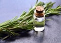 Rosemary essential oil in a glass bottle with fresh green rosemary herb on dark background.Rosemary oil for spa,aromatherapy and b Royalty Free Stock Photo