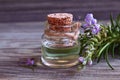 Rosemary essential oil in a glass bottle with fresh green rosemary herb on old wooden table for spa, aromatherapy and bodycare. Royalty Free Stock Photo