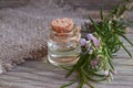 Rosemary essential oil in a glass bottle with fresh green rosemary herb on old wooden table for spa, aromatherapy and bodycare. Royalty Free Stock Photo