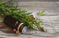 Rosemary essential oil in a glass dropper bottle with fresh green rosemary herb on old wooden table for spa,aromatherapy and bodyc Royalty Free Stock Photo