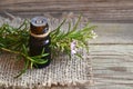 Rosemary essential oil in a glass dropper bottle with fresh green rosemary herb on old wooden table for spa,aromatherapy and bodyc Royalty Free Stock Photo